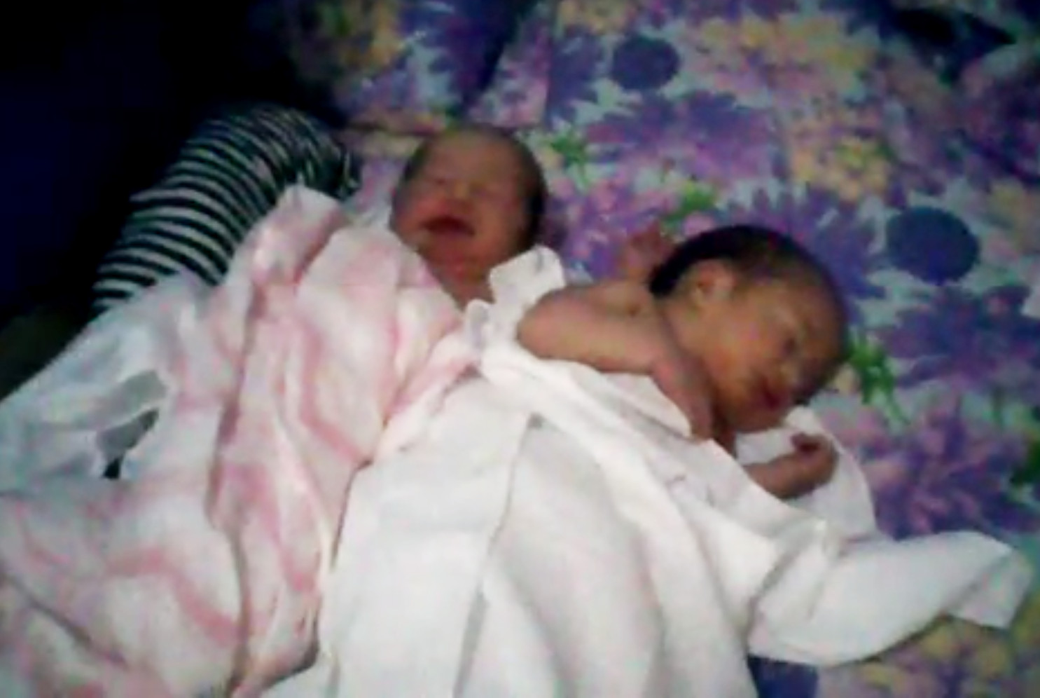 13:42:28 our time, i.e. when they were half a day old